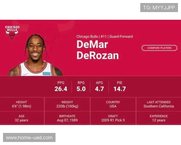 衔接段阵容深度决定战绩 主力与替补实力均衡成强队标志